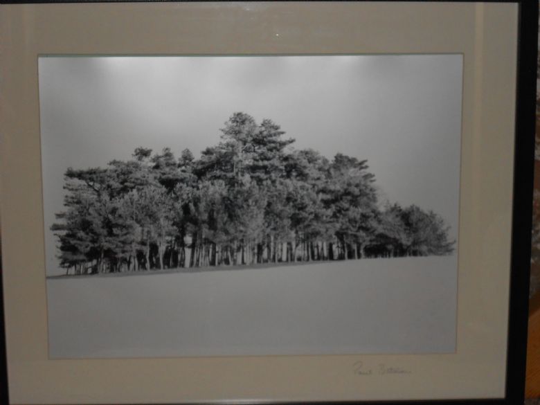 Picture of May Hill local award winning photographer Paul Batman.